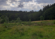 Wisentanlage heute Weitblick