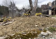Wildbienen-Sandhügel aufgewertet mit Totholz. 