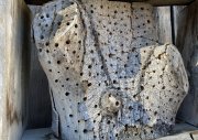 Nesting wood with holes drilled into the longitudinal wood