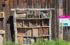 Various nesting structures in the form of an insect hotel on the grounds of the visitor centre in Sihlwald